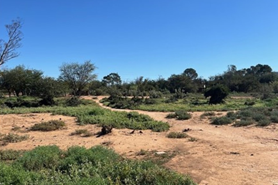 0 Bedroom Property for Sale in Steytlerville Eastern Cape